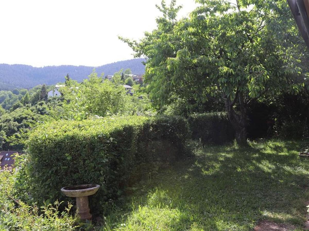 Haus Hoehneck 1 Alpirsbach Zewnętrze zdjęcie