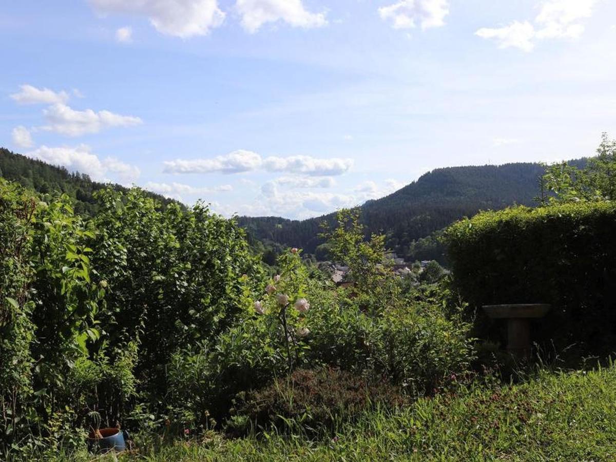 Haus Hoehneck 1 Alpirsbach Zewnętrze zdjęcie